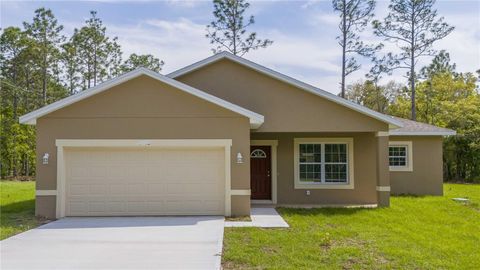 A home in CITRUS SPRINGS