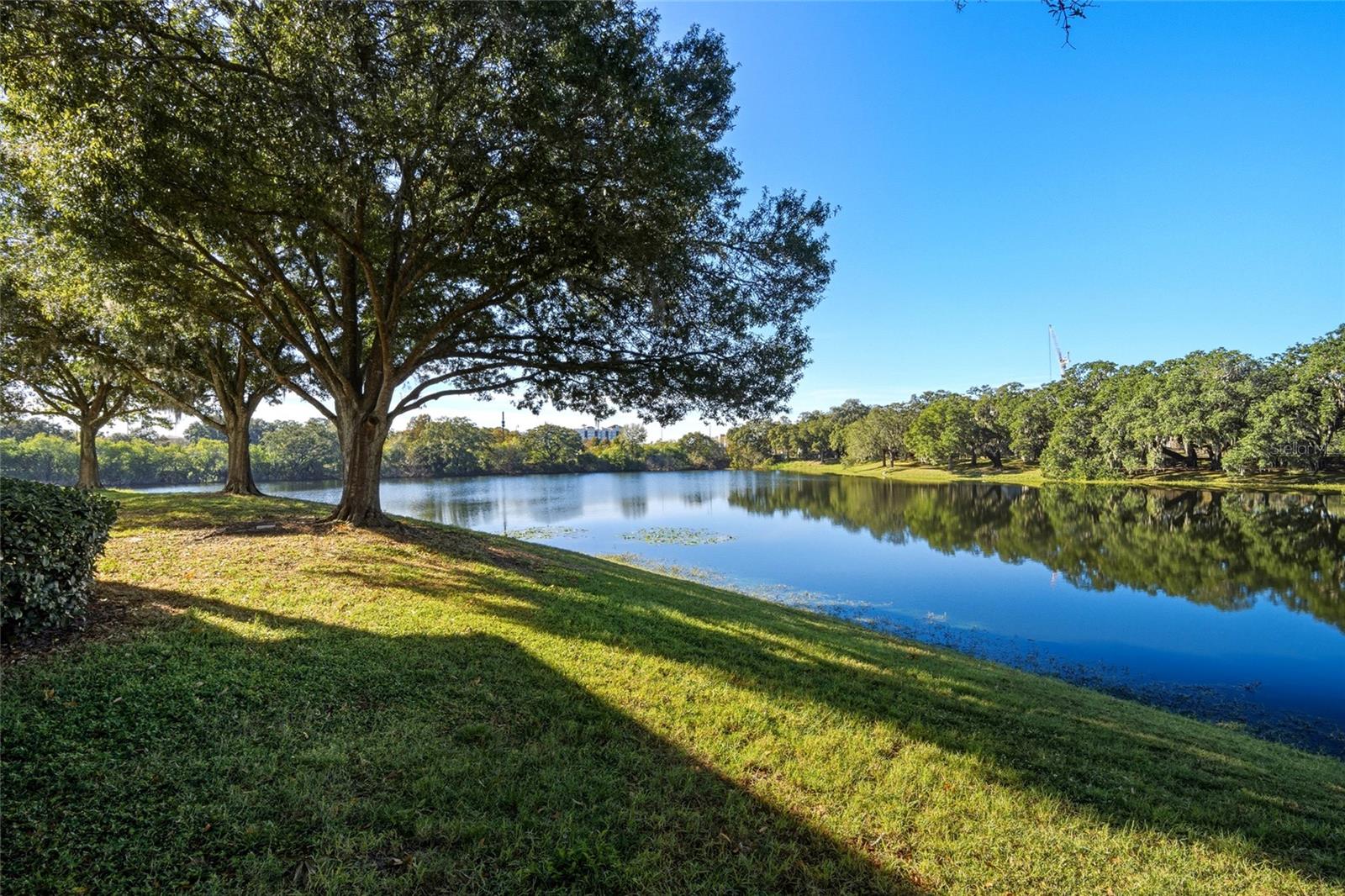 CRANES ROOST CONDO - Residential