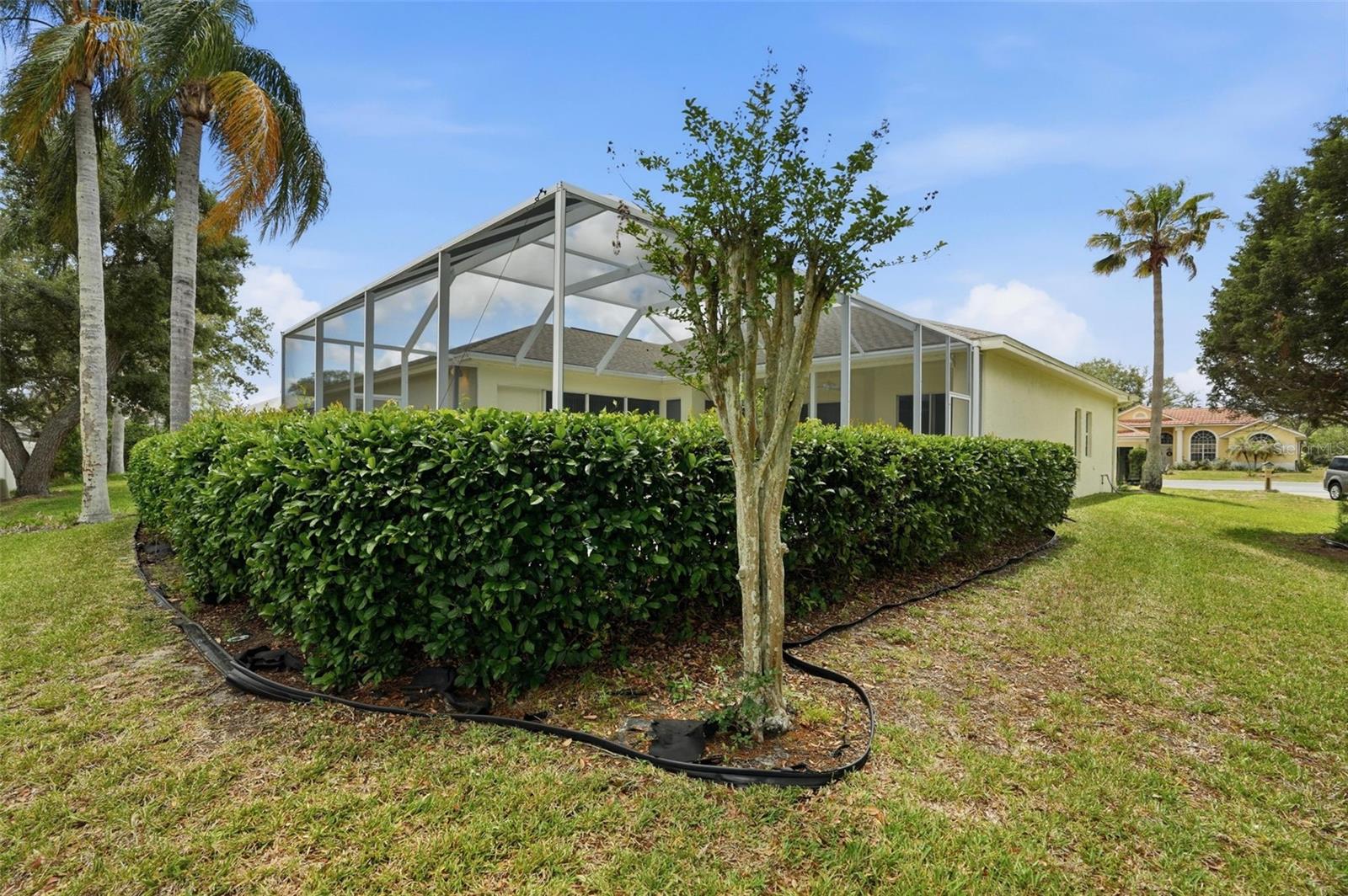 REGENCY OAKS - Residential