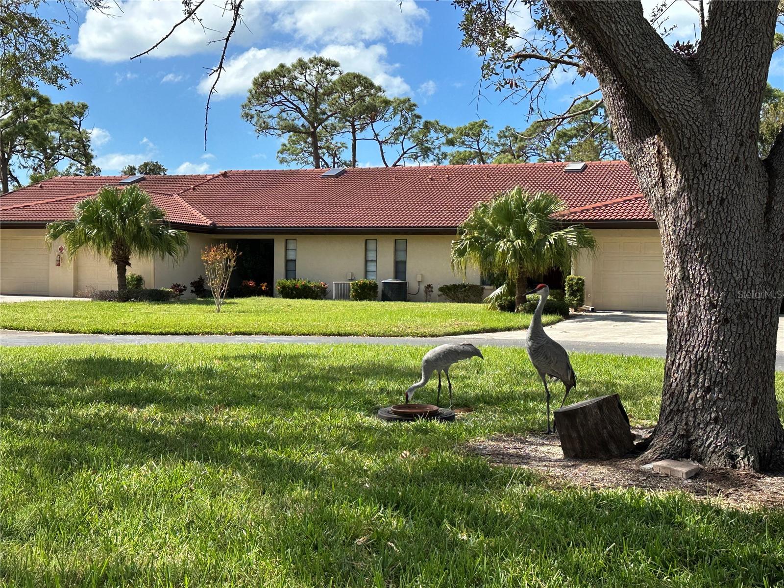3711 PINECONE COURT 168