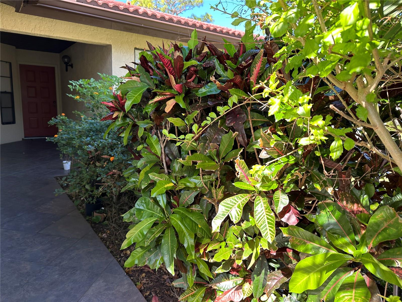 3711 PINECONE COURT 168