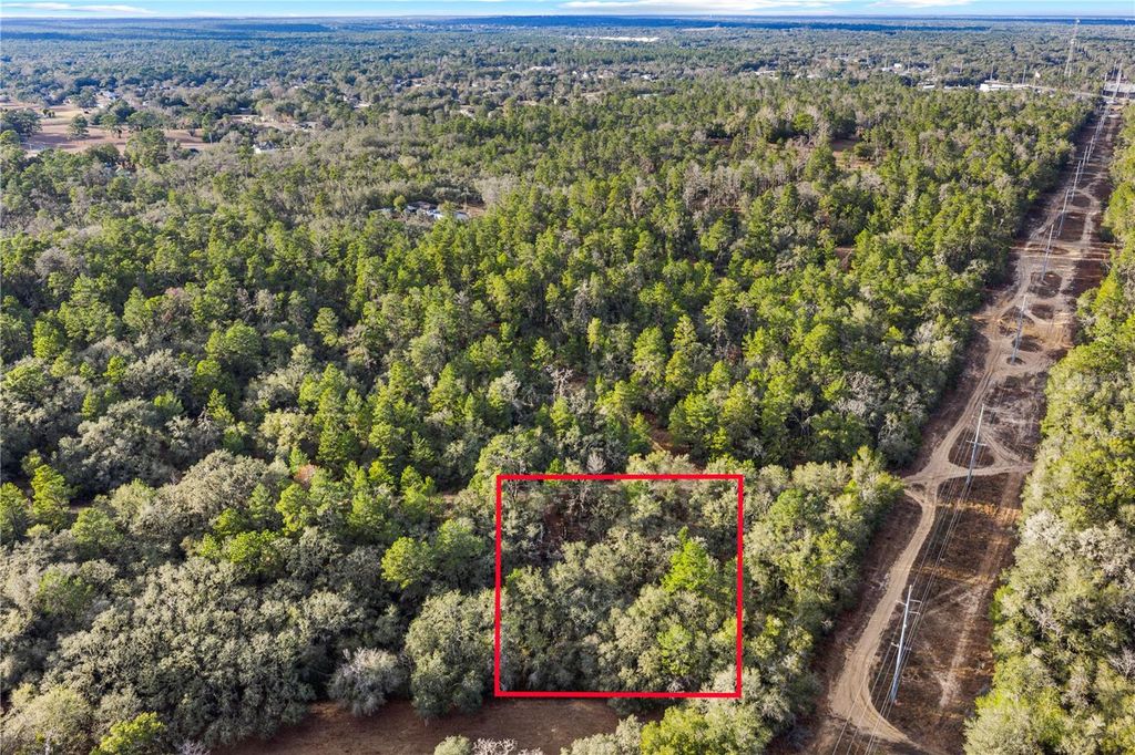 Photo of 115 S Crestview Avenue, Inverness, FL 34452 (MLS # OM716923)