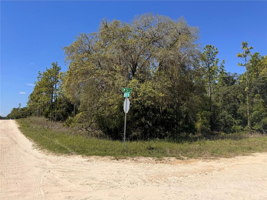 Bring your builder and your floor plans! This beautiful 1.21-acre parcel in the highly desirable Rolling Hills community offers the perfect canvas for your custom dream home. Enjoy the peace, privacy, and wide-open space of country living while remaining just minutes from everything you need.

Zoned R1 for single-family residences, this expansive lot gives you plenty of room to build a spacious home, add a pool, construct a workshop, or store your outdoor toys. Best of all, it is located entirely in Flood Zone X, meaning it is high and dry, requiring no lender-mandated flood insurance and offering peace of mind from day one.

With no HOA fees or restrictive regulations, you have the freedom to truly make this property your own. Situated with a Dunnellon mailing address but perfectly positioned near Ocala, you’re just a short drive from the World Equestrian Center, pristine local springs, excellent golfing, and convenient shopping and dining.

Don't wait, secure your slice of Florida freedom today!