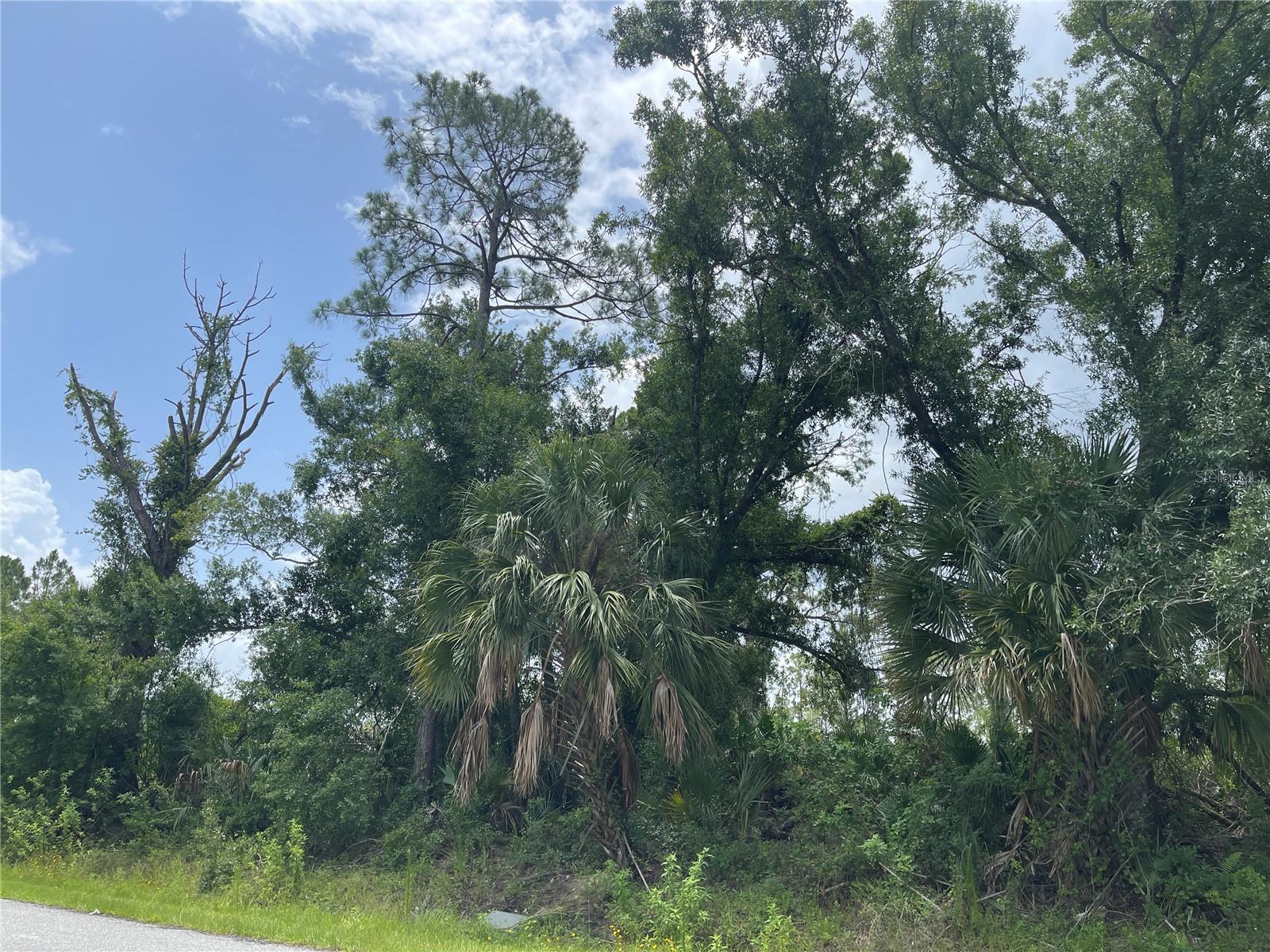 This vacant lot is located in a quiet, peaceful area but very near many local amenities such as shopping centers, dining, great schools and is surrounded with great parks, boating and about 30 minutes from great beaches. Nearby is the historical Warm Mineral Springs and the Atlanta Braves Florida home. North Port has quality builders with very nice model homes that can be toured or use one you have chosen..You will not be disappointed in this lot or location.: There is an additional lot alongside this lot for sale- C7511943