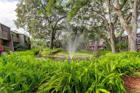 A home in TAMPA