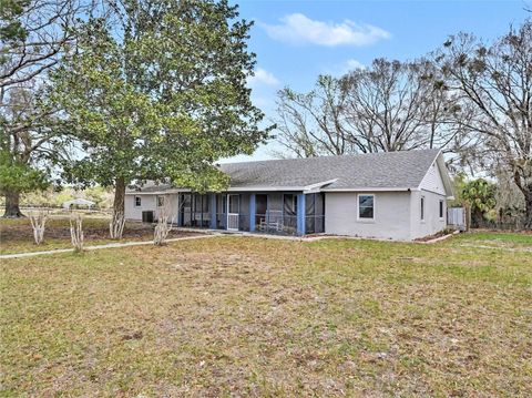 Photo of 1390 E Ohio Avenue, Lake Helen, FL 32744 (MLS # O6388675)