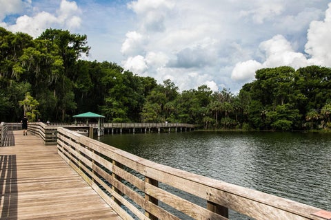 Tiny photo for 101 N Grandview Street #412, Mount Dora, FL 32757 (MLS # G5117155)
