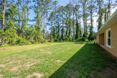 A home in PALM COAST