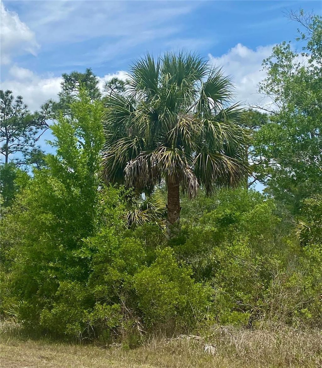 Photo of 18484 Parallel Road, Weeki Wachee, FL 34614 (MLS # W7875148)