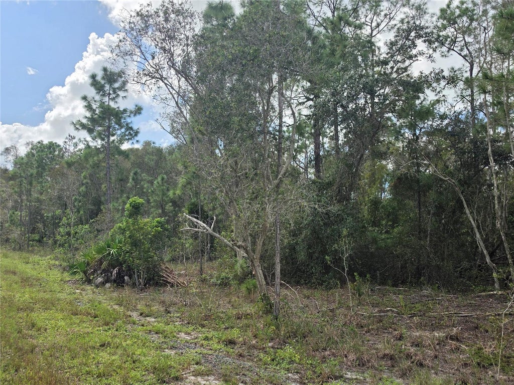 Photo of 1012 Kodiak Avenue, Lehigh Acres, FL 33974 (MLS # TB8560567)