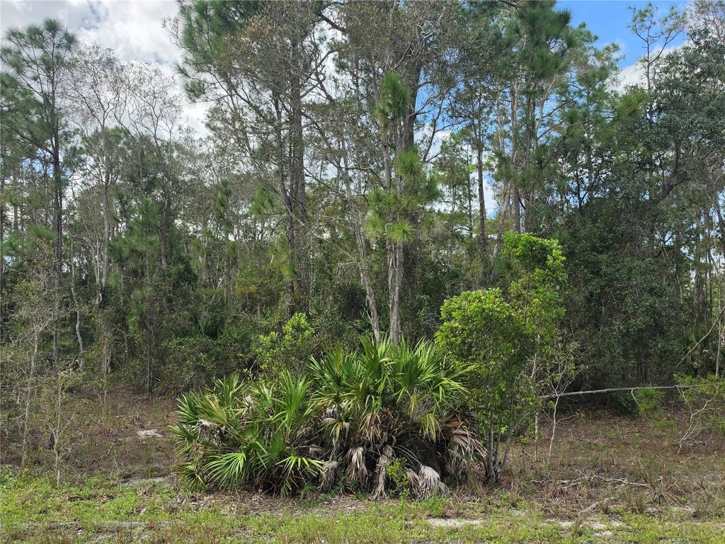 Photo of 1012 Kodiak Avenue, Lehigh Acres, FL 33974 (MLS # TB8560567)