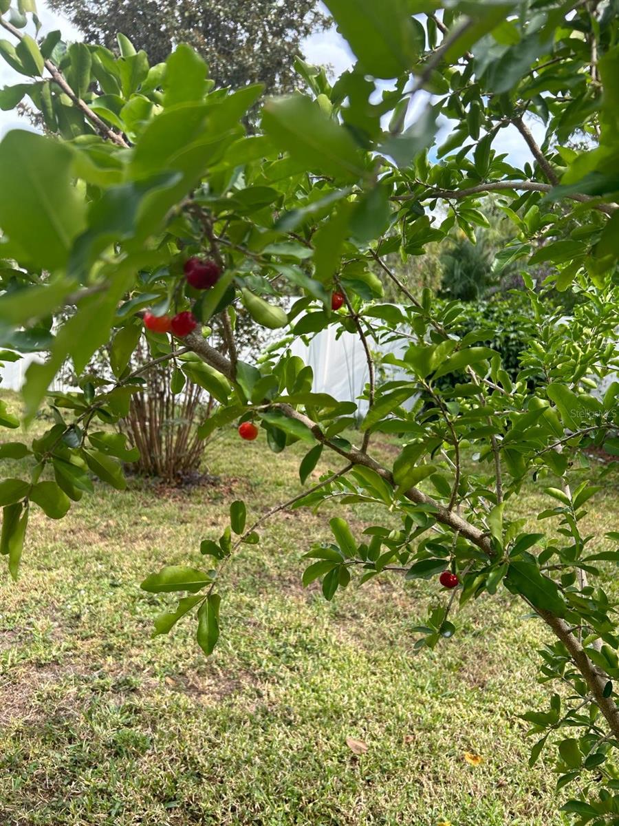 AUBURN HILLS - Residential