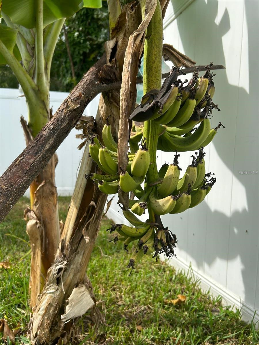 AUBURN HILLS - Residential