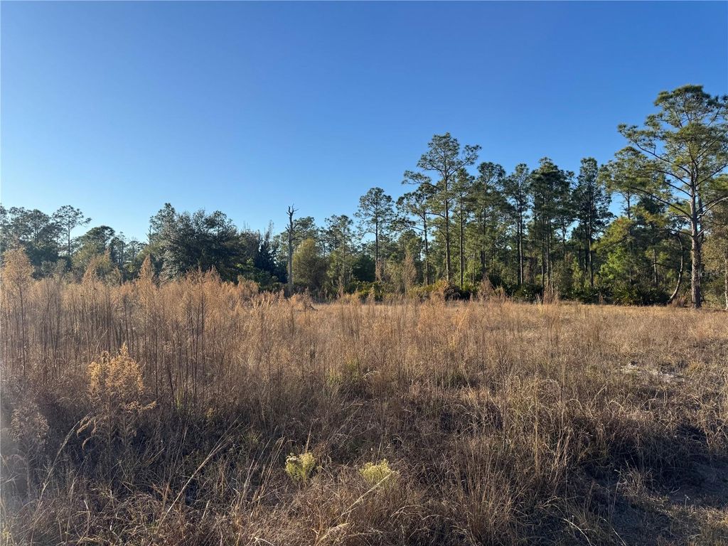 Photo of 1303 Hamilton Avenue, Lehigh Acres, FL 33972 (MLS # A4680816)