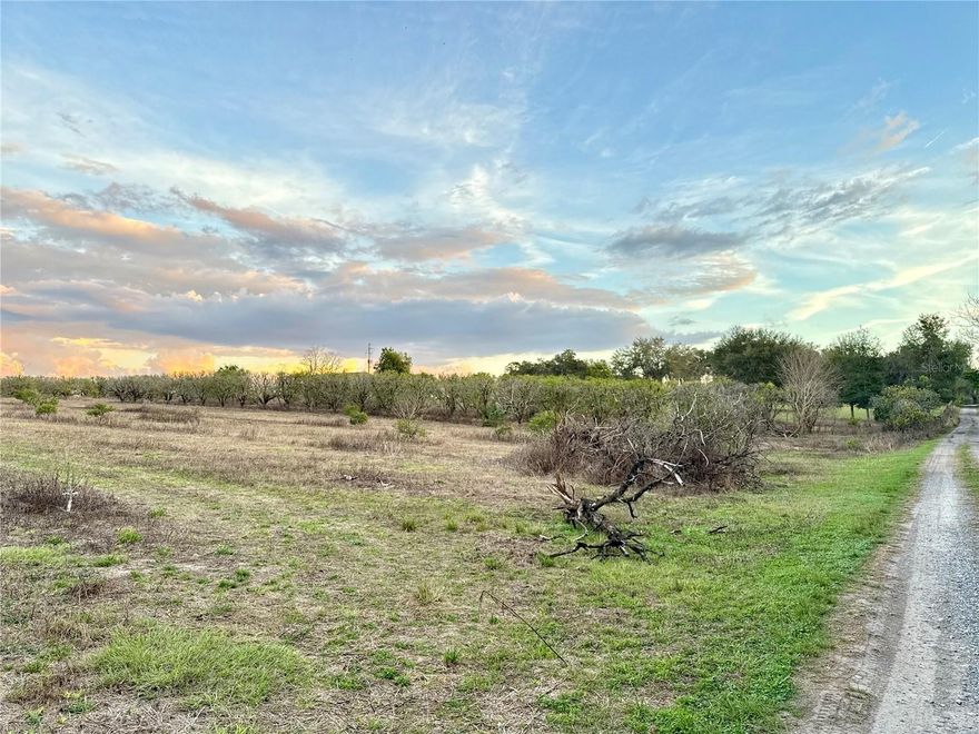 Build Your Dream Home or Invest in Prime Florida Land! This charming property is nestled in the heart of Weirsdale, FL, offering the perfect blend of rural tranquility and buildable potential. Once home to a thriving orange grove, the land still carries the nostalgic scent of citrus, with mature trees scattered throughout, offering a picturesque setting. The lot is ready for development, making it an ideal canvas for your dream home, a hobby farm, or even a small orchard revival. With ample space to design your perfect retreat, you’ll enjoy a serene, country lifestyle while being just a short drive from local amenities in The Villages and beautiful Lake Weir. Whether you’re looking for privacy, peace, or potential, this property offers it all. There are 3 other lots next to this one that are also for sale.