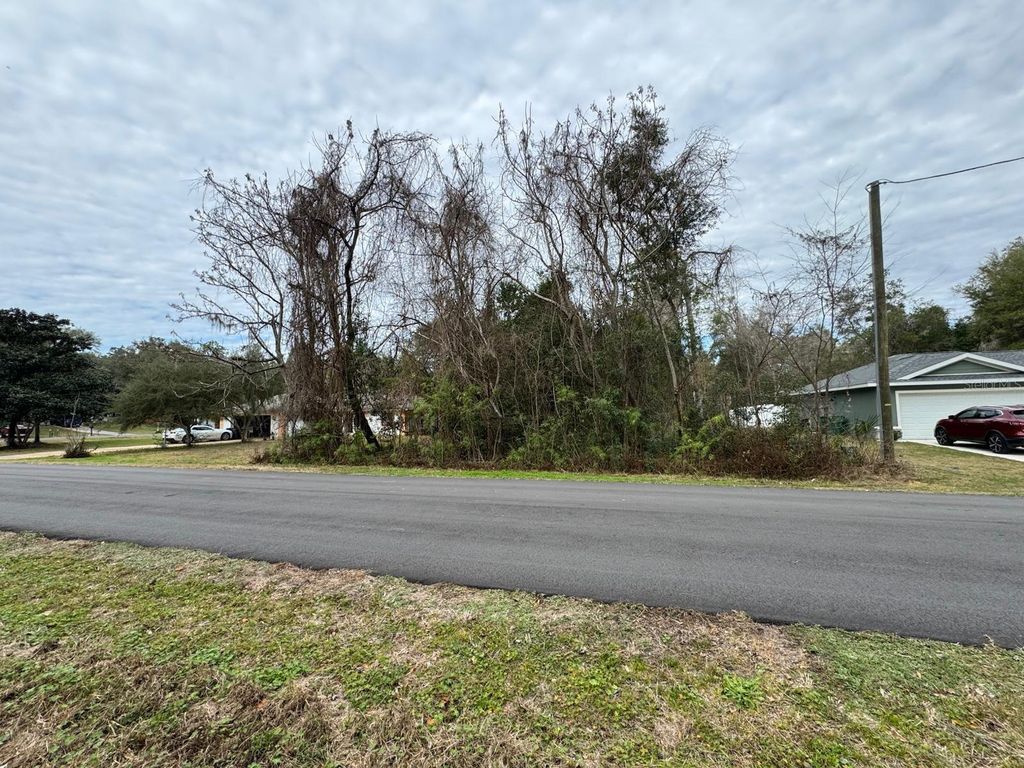 Photo of 1037 W Kingsway Place, Citrus Springs, FL 34434 (MLS # O6377842)