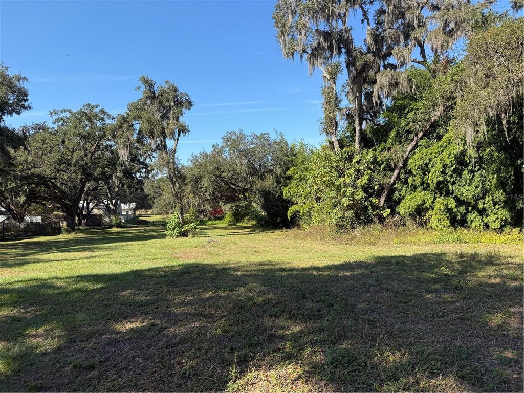 Photo of 6 Woody Lane, Dade City, FL 33525 (MLS # TB8450539)