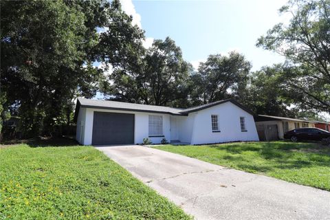 A home in TAMPA