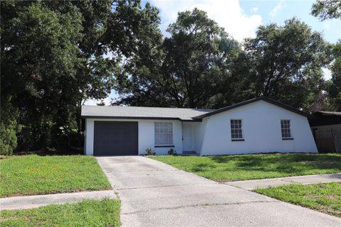 A home in TAMPA