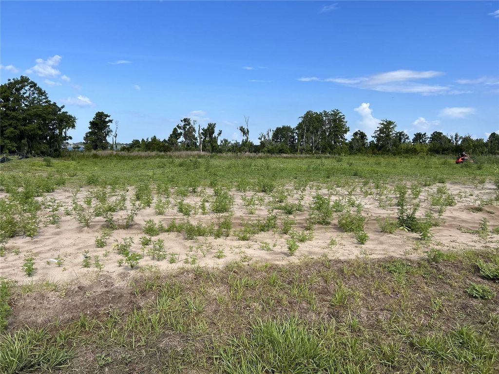 Photo of 12946 Stillwater Cove Drive, Astatula, FL 34705 (MLS # O6313392)