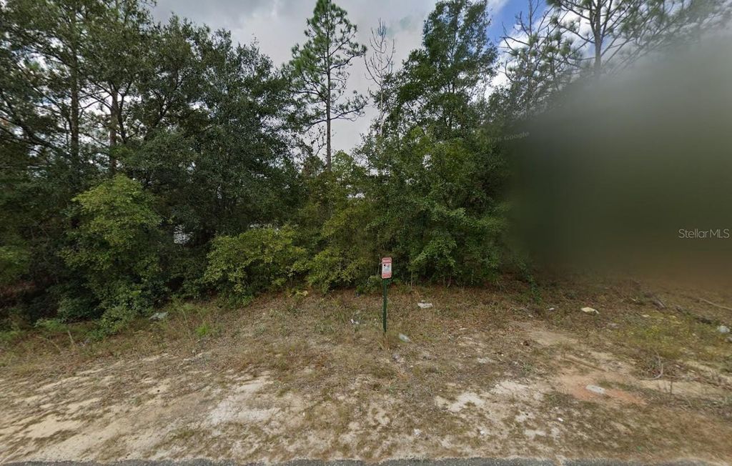 Photo of 380 Sumpter Ridge Road, Midway, FL 32343 (MLS # A4685578)