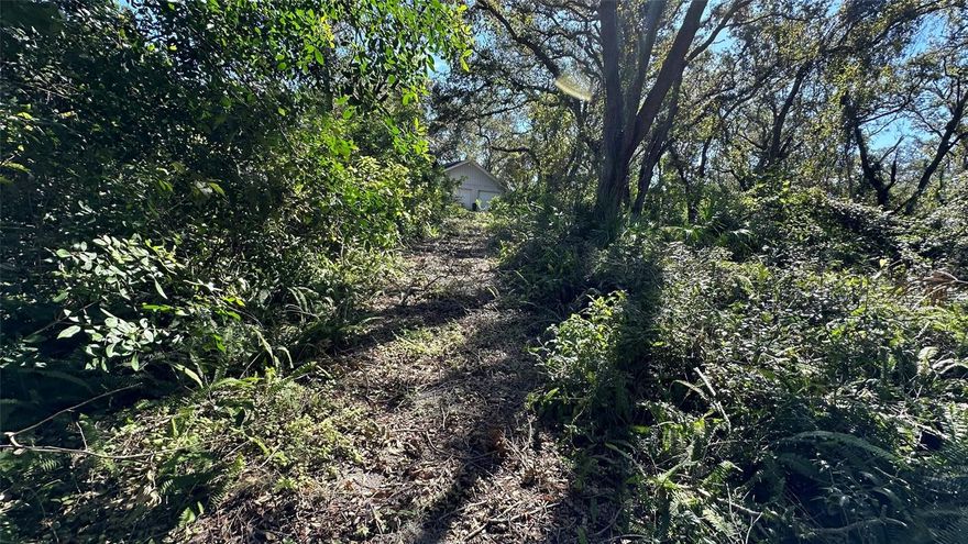 Palm Harbor Executive Acreage – Build Your Dream Estate
Exclusive 4.2 Acre Opportunity in a Prime Location
Embrace the extraordinary chance to secure 4.2 sprawling acres in the heart of Palm Harbor—a true private oasis with endless possibilities. Set amidst parklike surroundings and bordered by mature trees, this executive homesite provides unrivaled privacy and space to create the bespoke estate of your dreams.
The property’s generous acreage offers ample room for luxurious amenities, from a grand pool or tennis court to gardens, a hobby farm, or additional garages for car enthusiasts. County-friendly zoning allows accommodations for a large farm animal and poultry, making this parcel perfect for those desiring a self-sustaining, off-the-grid lifestyle without sacrificing convenience.
Enjoy the best of both worlds—seclusion with nearly no visible neighbors, yet mere blocks to bustling business parks, shopping, acclaimed restaurants, vibrant downtown festivals, and award-winning beaches. Commute with ease, thanks to quick access to major thoroughfares, including Alt. 19, Belcher Road, and Tampa Road—offering a direct route to Tampa International Airport and the city’s professional sports and entertainment venues.
Recently enhanced with partial land clearing (approximately 30%), new fencing, a partially restored asphalt driveway, and a brand-new private entrance, this property is ready for your vision. The existing free-standing garage provides a valuable head start for your plans.
Deeded driveway access and recorded restrictions permit one single-family executive home, ensuring exclusivity and investment security. Surrounded by neighborhoods of oversized homes, this is a rare generational opportunity to create a legacy estate in one of Palm Harbor’s most coveted locations.
Don’t miss your chance to design, build, and live your dream Florida lifestyle on this exceptional vacant land. Secure your private tour today and see the endless potential for yourself!