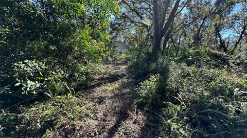 1676 HERMOSA DRIVE PALM HARBOR FL 34683