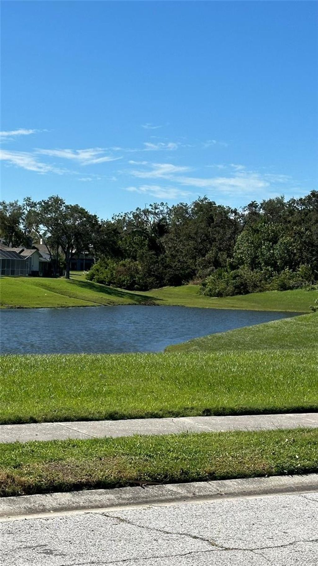 Photo of 1676 Hermosa Drive, Palm Harbor, FL 34683 (MLS # TB8402481)