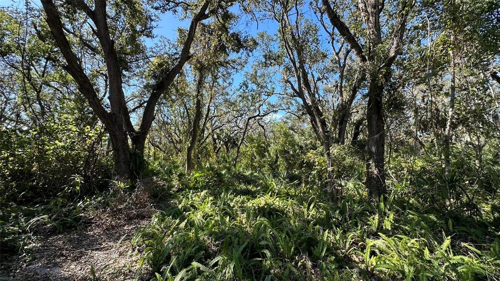 Photo of 1676 Hermosa Drive, Palm Harbor, FL 34683 (MLS # TB8402481)