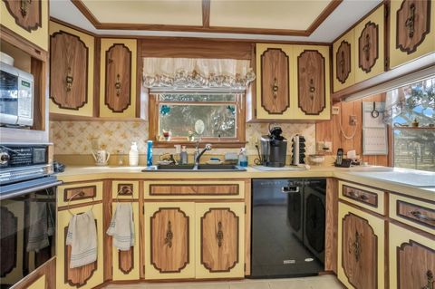 Tiny photo for 5520 S Pine Tree Point, Lecanto, FL 34461 (MLS # O6374113)