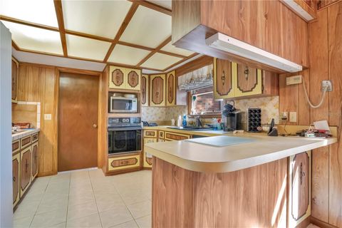 Tiny photo for 5520 S Pine Tree Point, Lecanto, FL 34461 (MLS # O6374113)