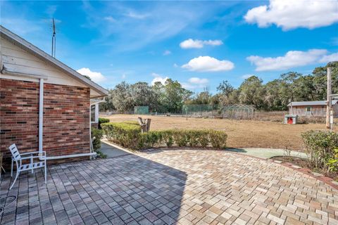 Tiny photo for 5520 S Pine Tree Point, Lecanto, FL 34461 (MLS # O6374113)