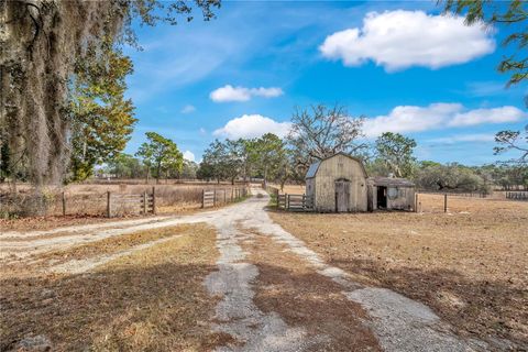 Tiny photo for 5520 S Pine Tree Point, Lecanto, FL 34461 (MLS # O6374113)