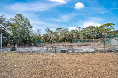 Tiny photo for 5520 S Pine Tree Point, Lecanto, FL 34461 (MLS # O6374113)