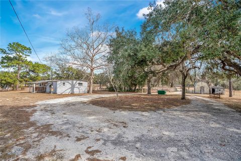 Tiny photo for 5520 S Pine Tree Point, Lecanto, FL 34461 (MLS # O6374113)