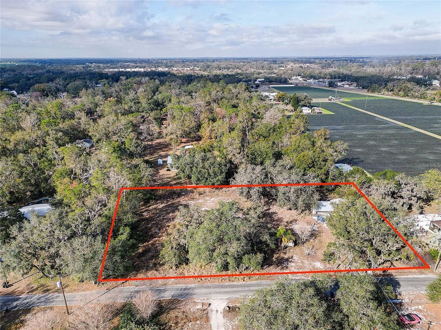 1-Acre Lot with Well & Septic – Ready to Build! This spacious 1-acre lot in Plant City is the perfect opportunity to build your dream home or place a manufactured home with well and septic already in place, saving you time and money. Located in a peaceful, rural setting with no HOA, this property offers the freedom to create your ideal space, whether for a home, workshop, or small farm. Enjoy the privacy of country living while still being conveniently close to major roads for easy commuting. Don’t miss this great investment opportunity—call today for more details! Multiple Offer Situation Highest & Best by Sunday 02/02/25 2pm.