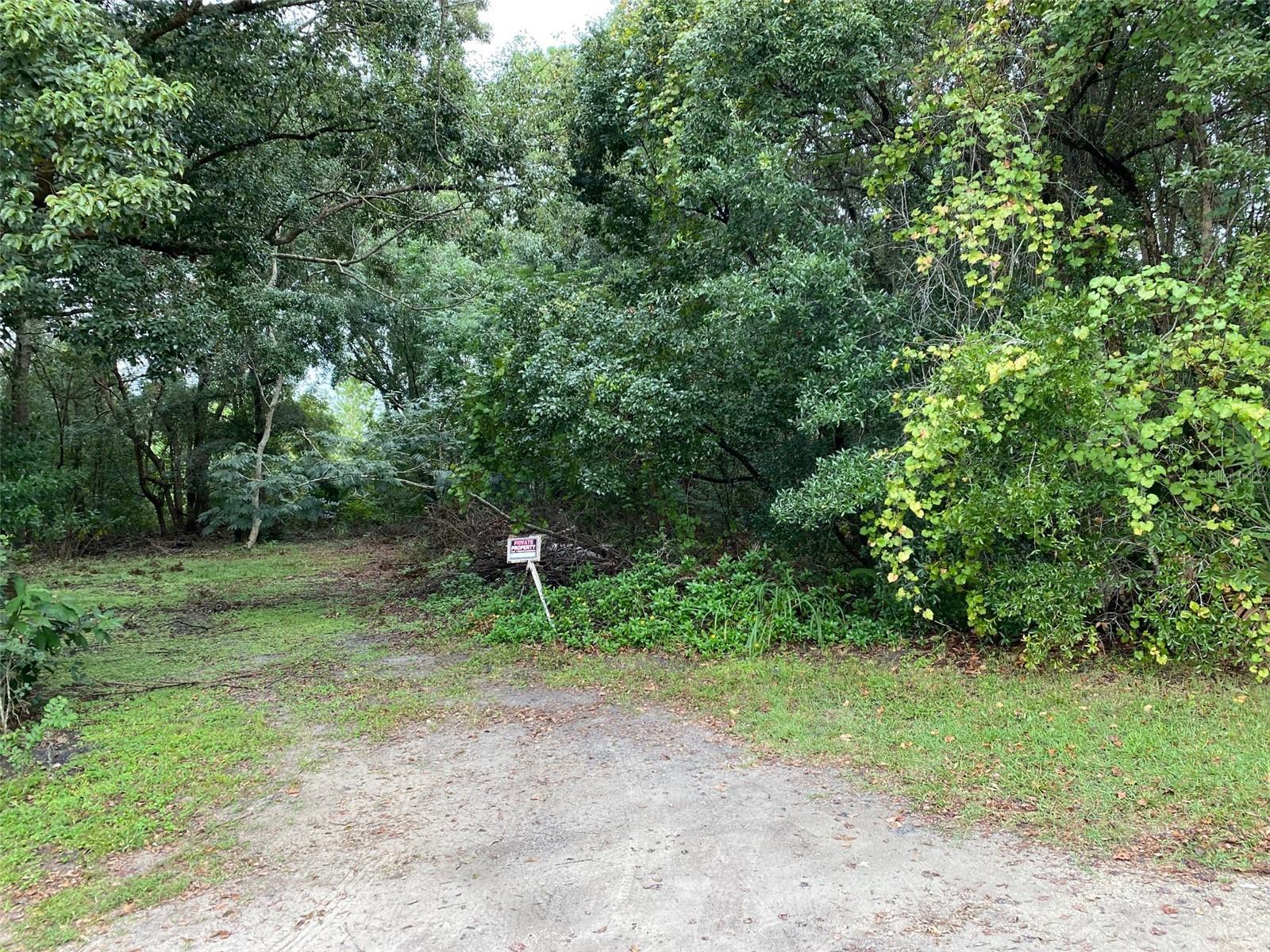 THIS IS WHAT YOU ARE LOOKING FOR... Mt Dora buildable lot with possibility of creating two buildable lots !! Located in rapid growth area. No HOA.