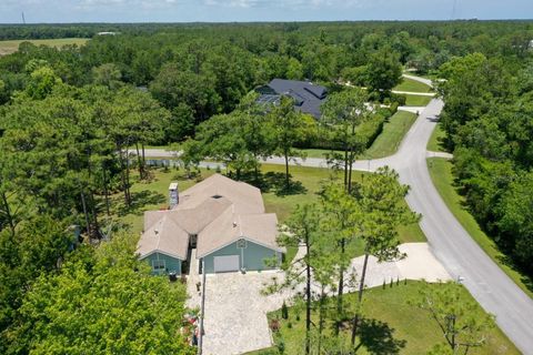 A home in ORMOND BEACH