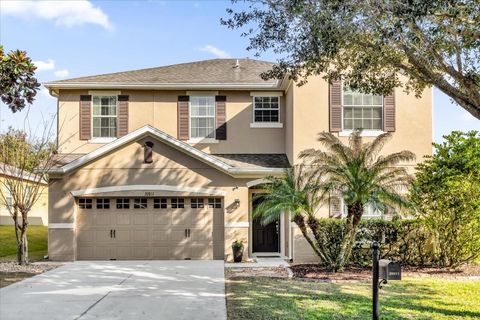 A home in MOUNT DORA