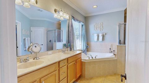 A home in APOLLO BEACH