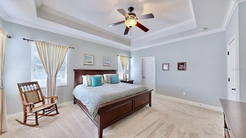 A home in APOLLO BEACH