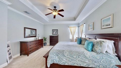 A home in APOLLO BEACH