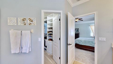 A home in APOLLO BEACH