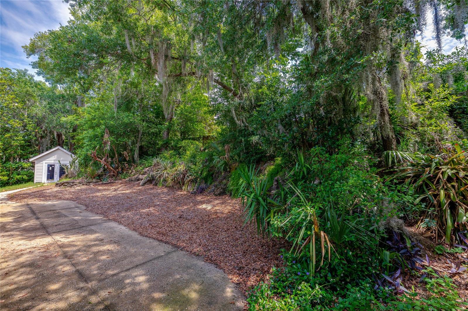 TOMOKA OAKS - Residential