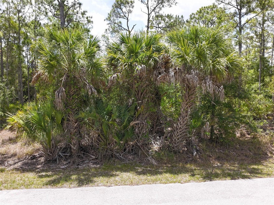 Positioned in the growing community of Tropical Gulf Acres, 12226 Ripple Dr. Punta Gorda, FL 33955 offers an excellent opportunity to invest in Southwest Florida land while securing the perfect location for your future home. Surrounded by natural Florida beauty and expanding development, this residential lot delivers a peaceful setting with added privacy while still keeping you close to everyday conveniences. Easy access to I-75 makes commuting simple, with nearby shopping, dining, schools, golf courses, boating, fishing, and Gulf Coast beaches all within reach. As Punta Gorda continues to grow, vacant land in this desirable area is becoming increasingly sought after, making this an ideal option for builders, investors, or anyone ready to create their own Florida retreat.