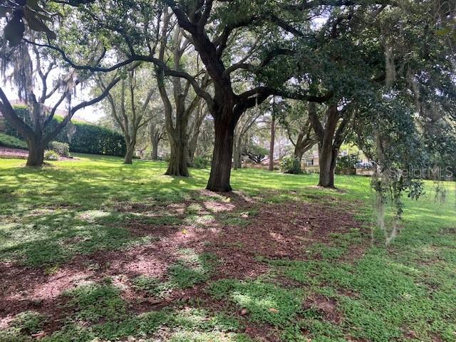 HOWEY IN THI HILLS MISSION CAMPEON - Land