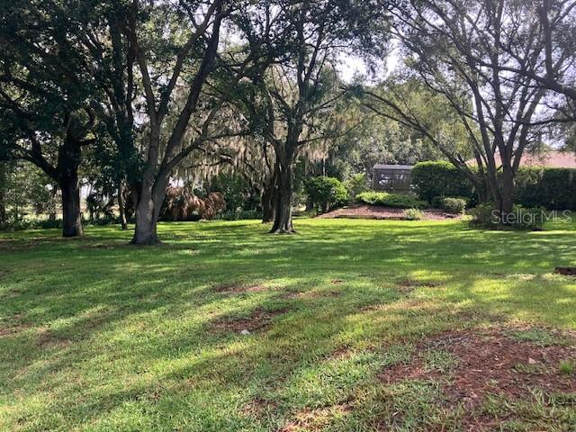 HOWEY IN THI HILLS MISSION CAMPEON - Land