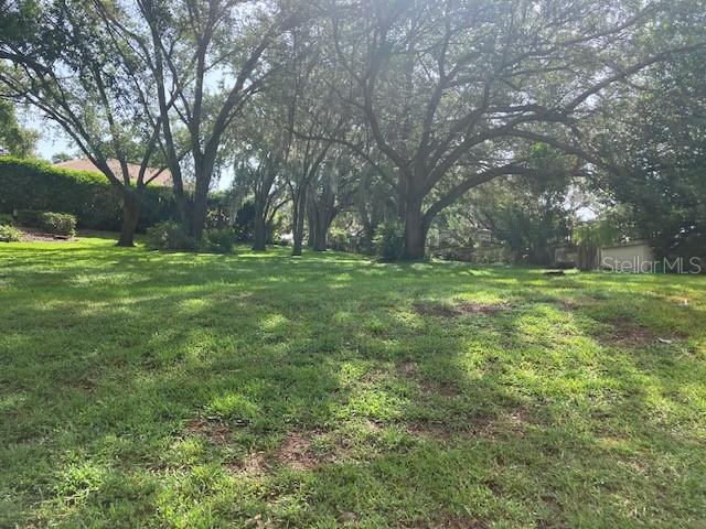 HOWEY IN THI HILLS MISSION CAMPEON - Land