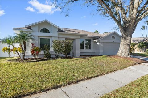 A home in TAMPA