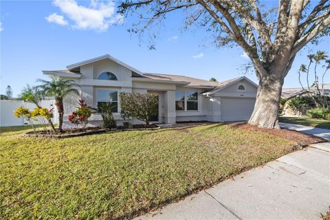 A home in TAMPA